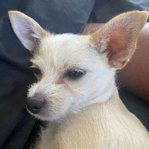 Meet your Posher, Tia